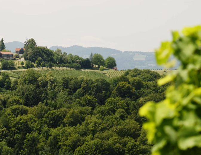 Genusswandern Südsteiermark - Weingut Schwarzl
