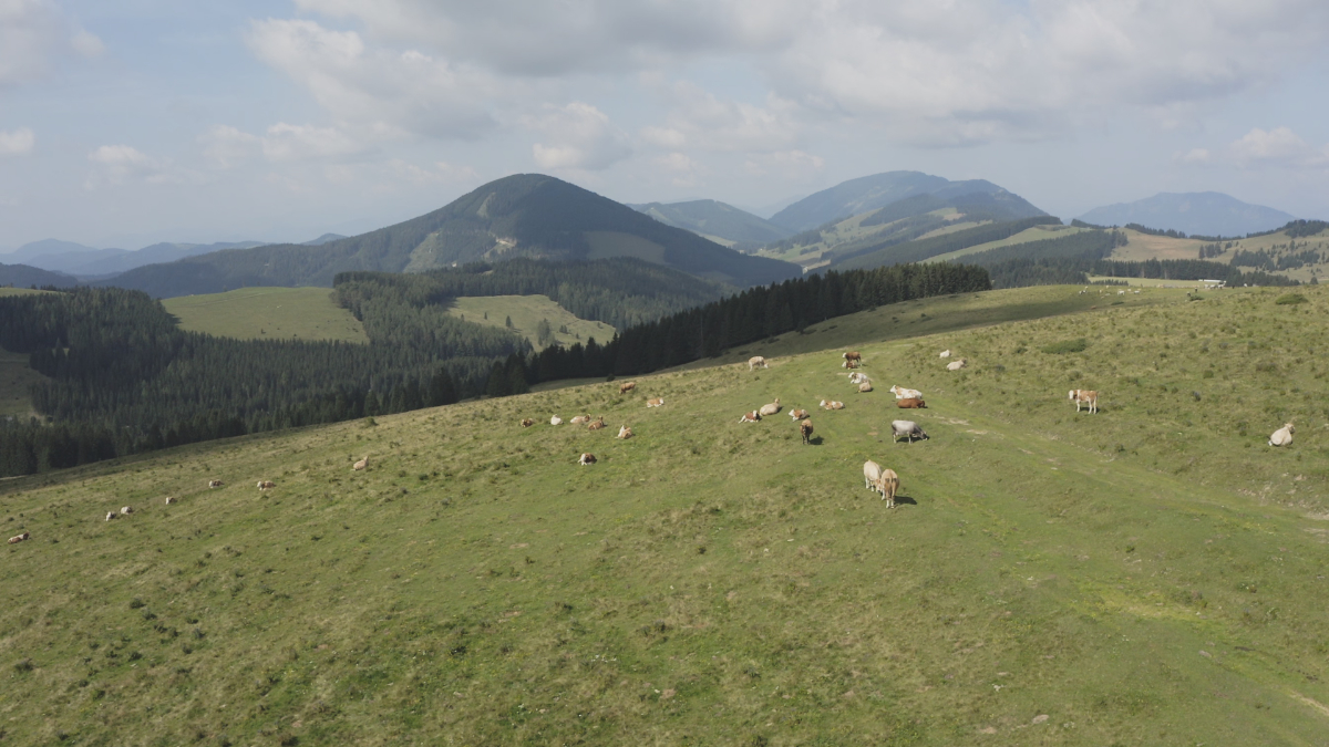 Ein Stück Österreich | Das Almenland