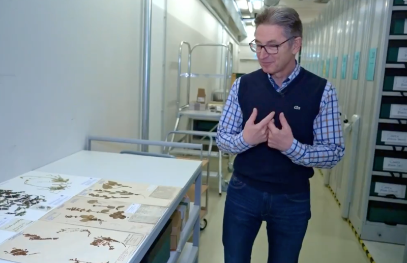 Studienzentrum Naturkunde: Kurt Zernig – Teil 2