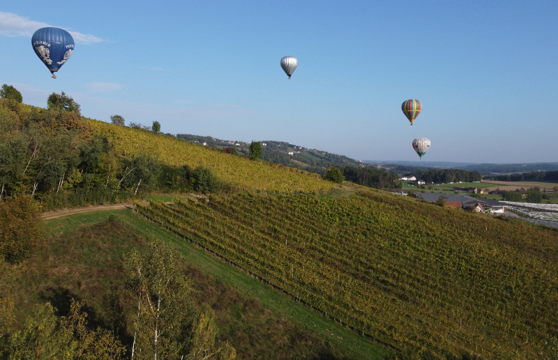 Sturmwanderung Apfelland