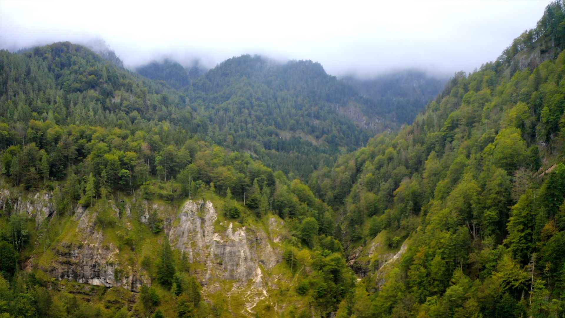 Ein Stück Österreich | Die Wildnis