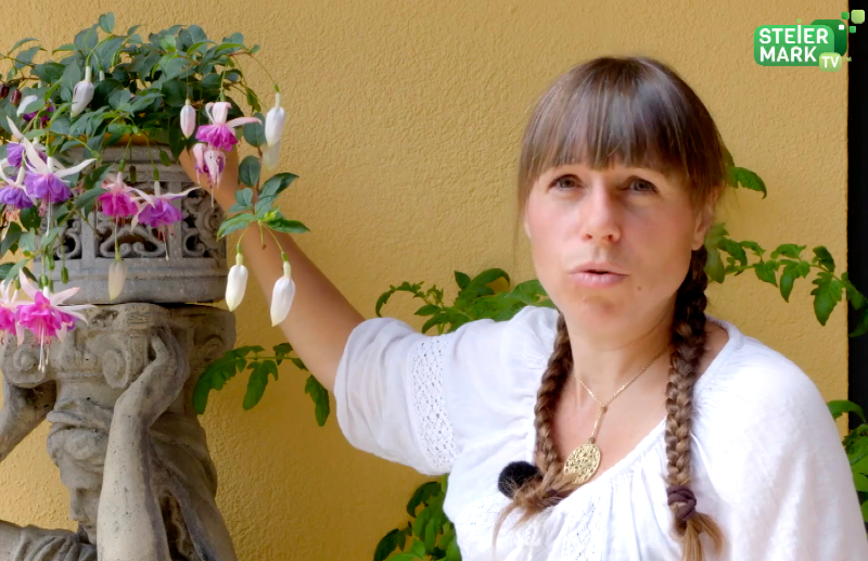 Garten Tipp: Bewässerung