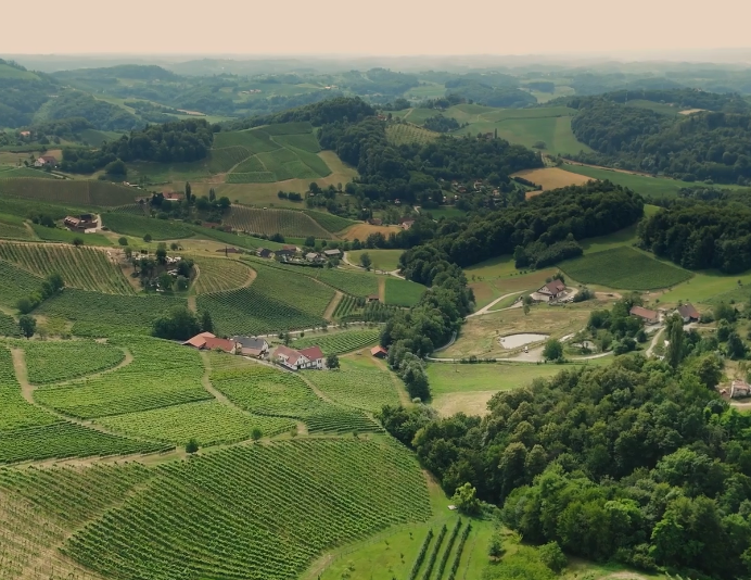 Genusswandern Südsteiermark - Weingut Pilch