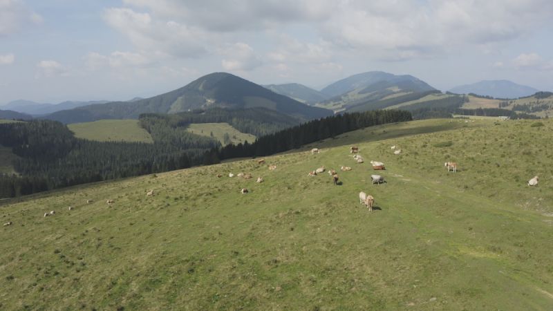 Ein Stück Österreich | Das Almenland