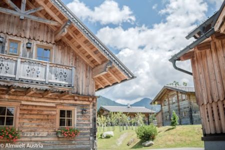 -almwelt-austria_5e4cf8df375a7.jpg