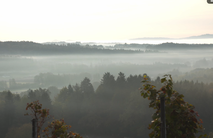 Weingut in der Schilcherstraße - Südsteiermark