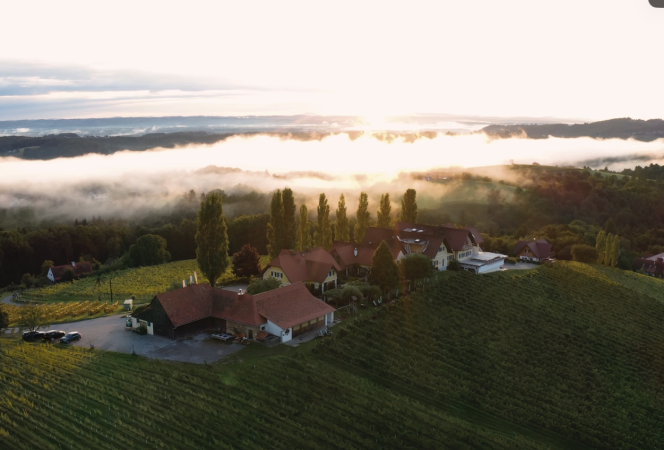 Weingut im Sausal in der Steiermark