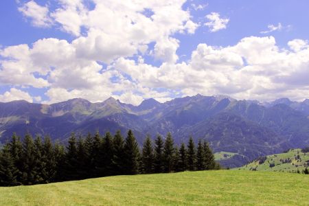 brezina_05.jpg
