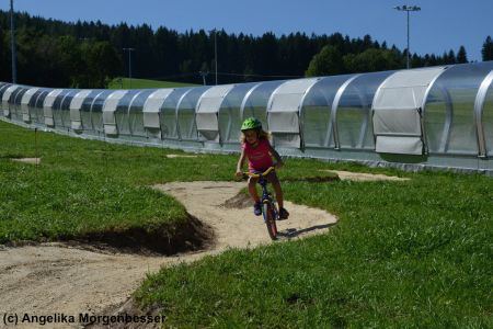 c-angelika-morgenbesser_5f1e97cbe2a45.jpg