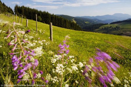 c_oststeiermark_tourismus_bernhard_bergmann_5f105dd590198.jpg