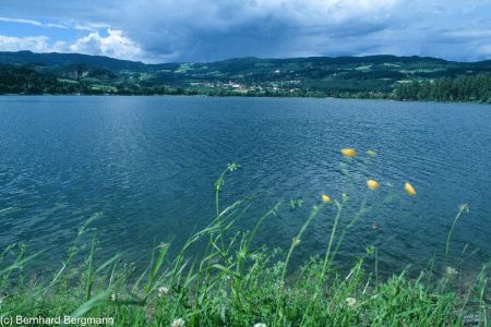 copyright-bernhard-bergmann1_5f105f516213a.jpg