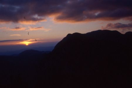 franz-sieghartsleitner (1).jpg