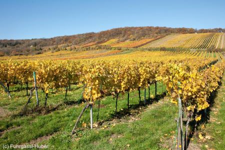 fuhr_herbst7h.jpg