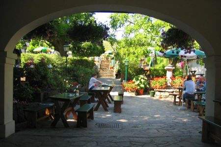 garten_01_0.jpg