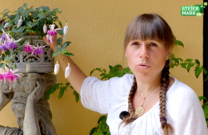 Garten Tipp: Bewässerung