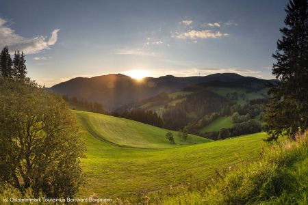 landschaft_almenland_3_c_oststeiermark_tourismus_bernhard_bergmann.jpg