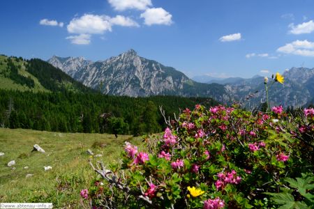 postalm-sommer-47.jpg