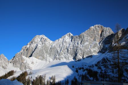 seiler_und_speer_01.jpg