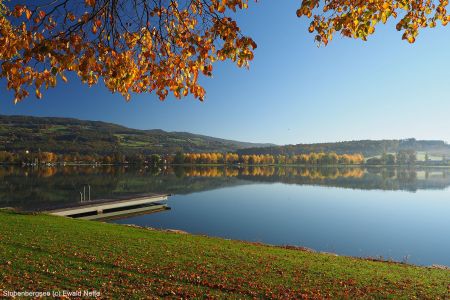stubenbergsee-c-ewald-neffe.jpg