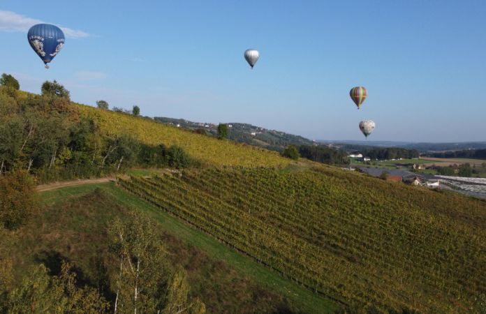 Sturmwanderung Apfelland