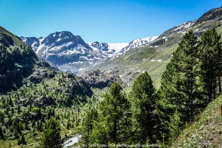 -tvb-tiroler-oberland-kaunertal-isidor-nisig-sportograf-2018-gletscherkaiser-49.jpg