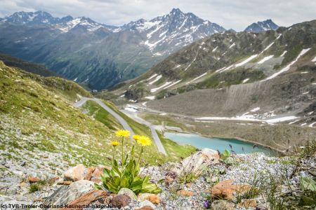 -tvb-tiroler-oberland-kaunertal-isidor-nisig-sportograf-2018-gletscherkaiser-59.jpg