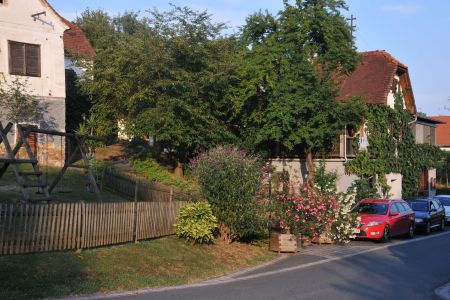 weinbau-gruber-4.jpg