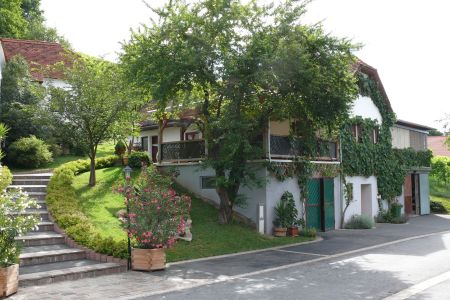 weinbau-gruber-5.jpg