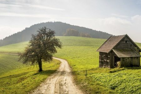 wiener-alpen-franz-zwickl_.jpg
