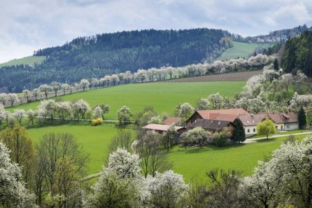 wiener-alpen-franz-zwickl.jpg