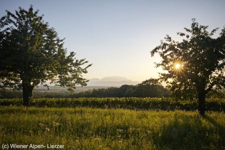 wieneralpen-picknick-4145-webcwieneralpen-lierzer.jpg