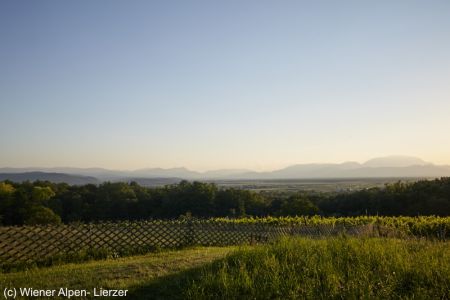 wieneralpen-picknick-4165-webcwieneralpen-lierzer.jpg