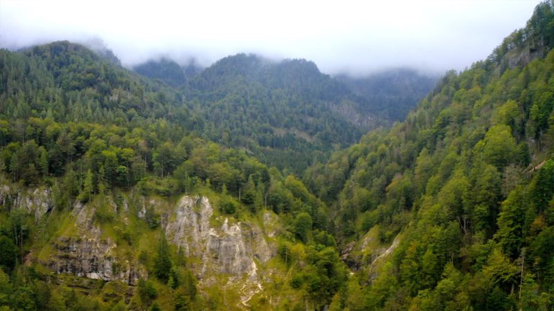 Ein Stück Österreich | Die Wildnis