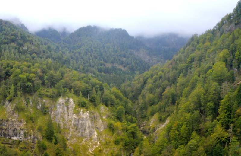 Ein Stück Österreich: Die Wildnis